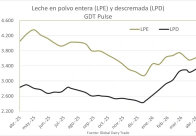 La leche en polvo entera revirtió las bajas en la subasta Pulse de Fonterra La leche en polvo entera revirtió las bajas en la subasta Pulse de Fonterra
