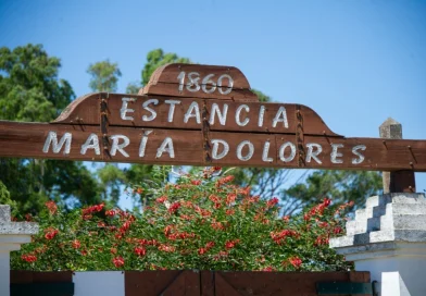 Mesa Nacional de Colonos cuestiona el llamado de María Dolores y recorte de recursos