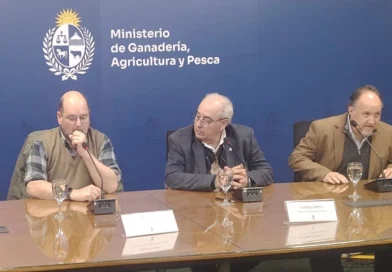 MGAP distribuirá 60 mil dosis gratuitas de hemovacuna para pequeños productores