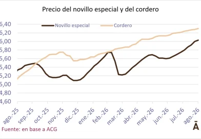 Se modera la suba para el novillo; la vaca avanzó 9 centavos