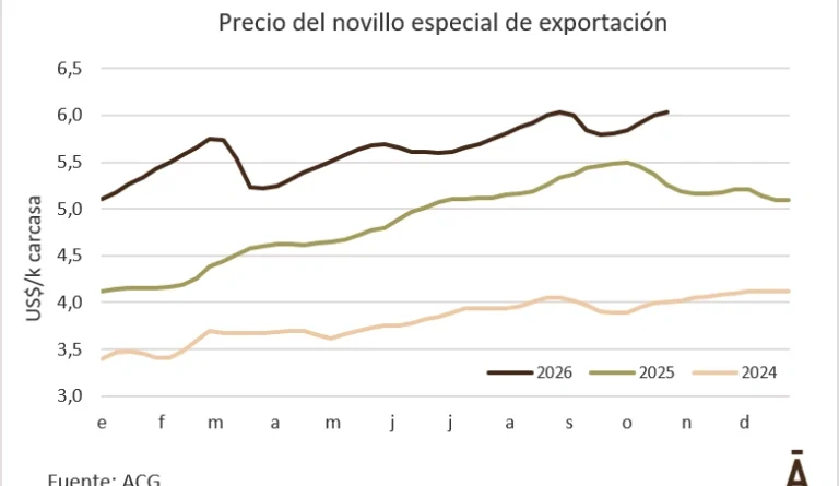 El novillo de exportación volvió al récord de fines de agosto